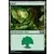 Core Set 2020 - Forêt
