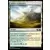 Core Set 2020 - Sables verdoyants