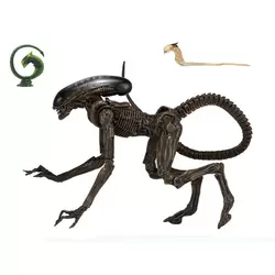 Alien 3 - Ultimate Dog Alien