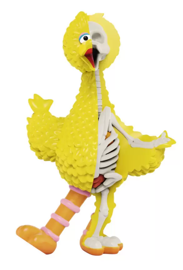 XXRAY - Sesame Street - Big Bird (XXRAY Plus)