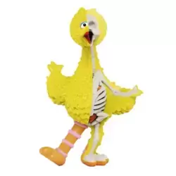 Sesame Street - Big Bird (XXRAY Plus)