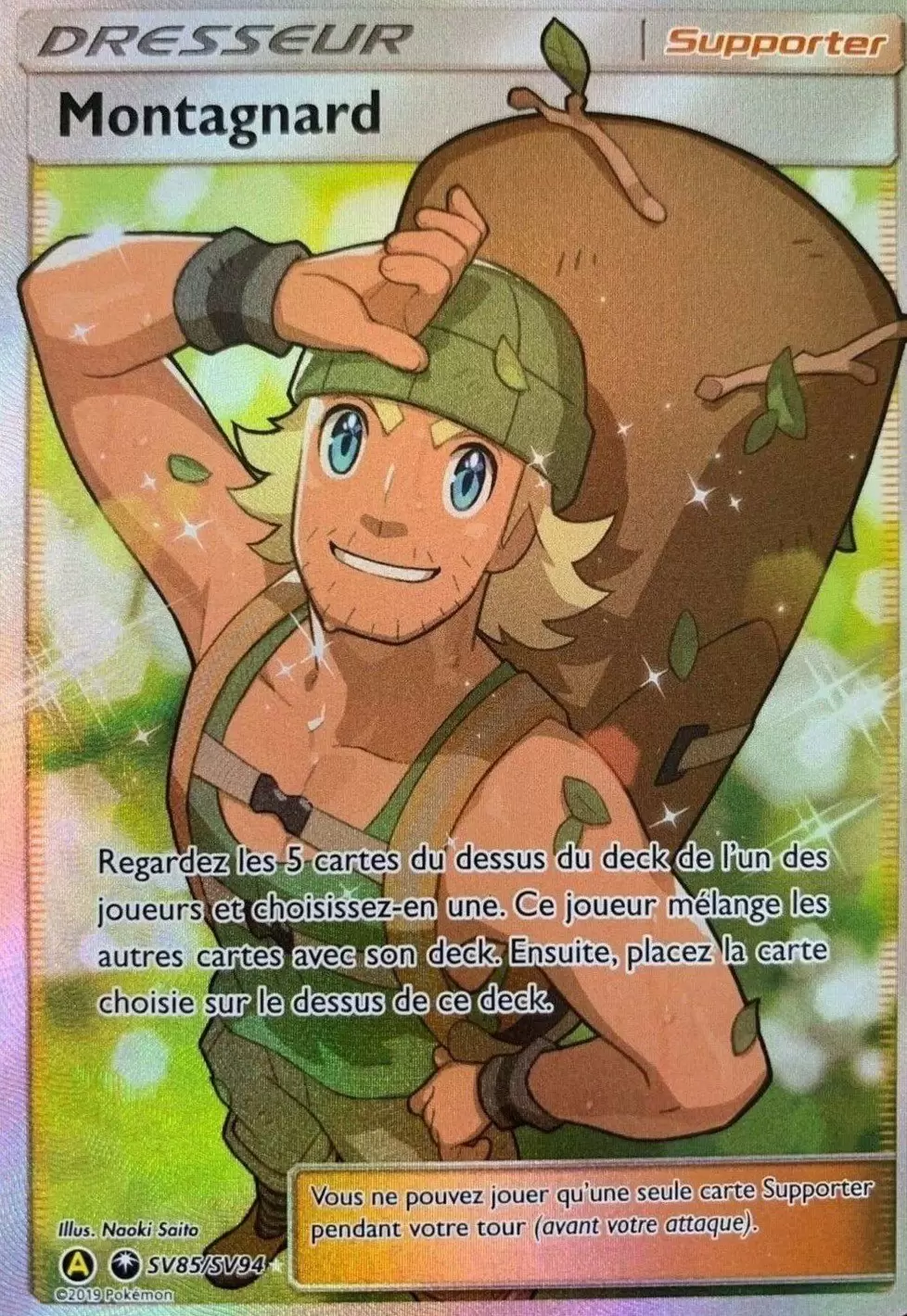 Cartes Pokémon Alternatives - Montagnard