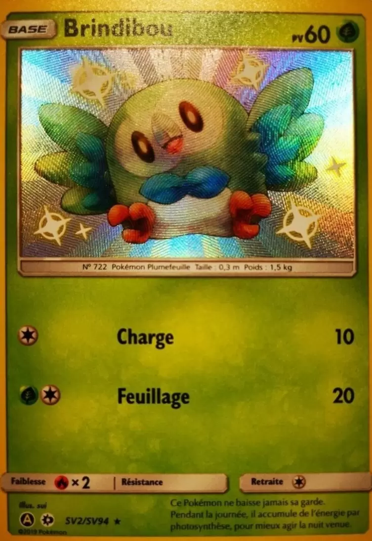 Cartes Pokémon Alternatives - Brindibou