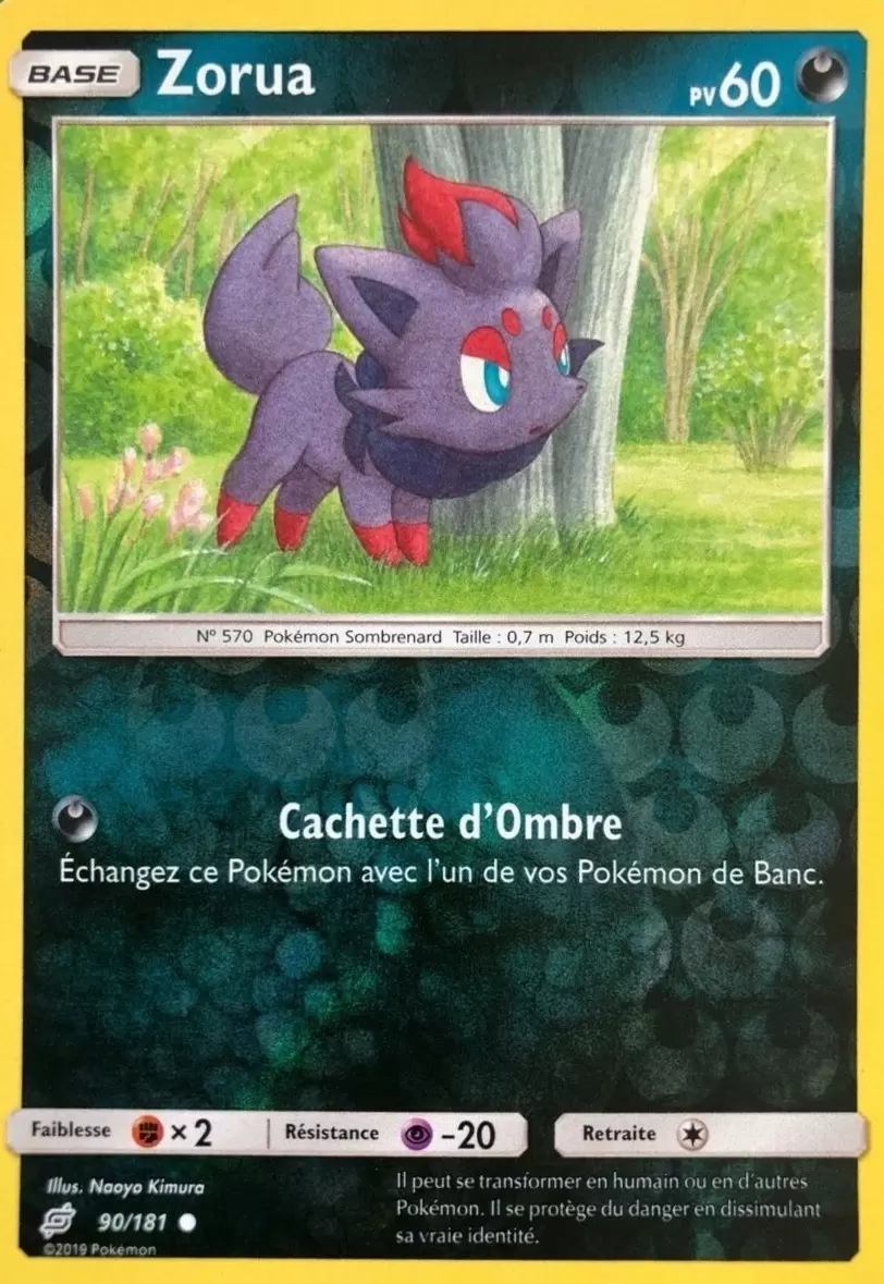 Duo de choc - Zorua Reverse