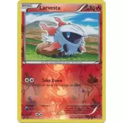 Larvesta Reverse