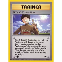 Brock's Protection 1st Edition