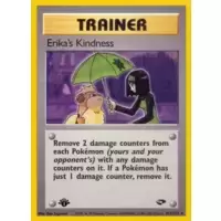 Erika's Kindness 1st Edition