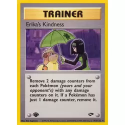 Erika's Kindness 1st Edition
