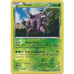 Pinsir Reverse