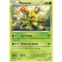 Maractus