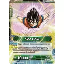 Son Goku // Son Goku Kaioken, Résultats d'Entraînement