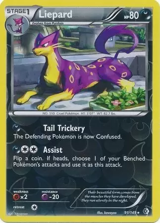 Boundaries Crossed - Liepard Reverse