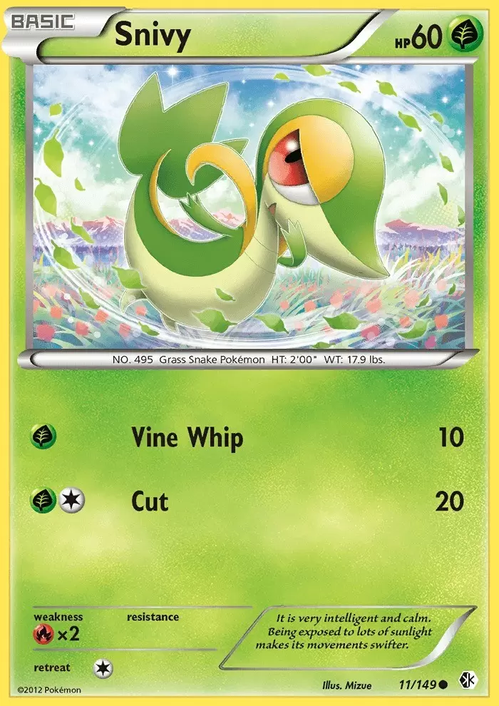 Boundaries Crossed - Snivy