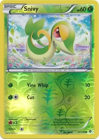 Boundaries Crossed - Snivy Reverse