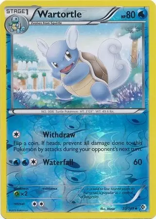 Boundaries Crossed - Wartortle Reverse