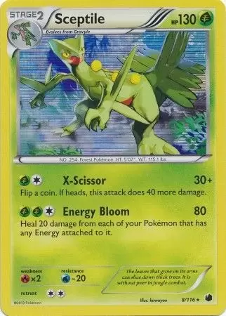 Plasma Freeze - Sceptile Holo