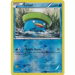 Lotad Reverse