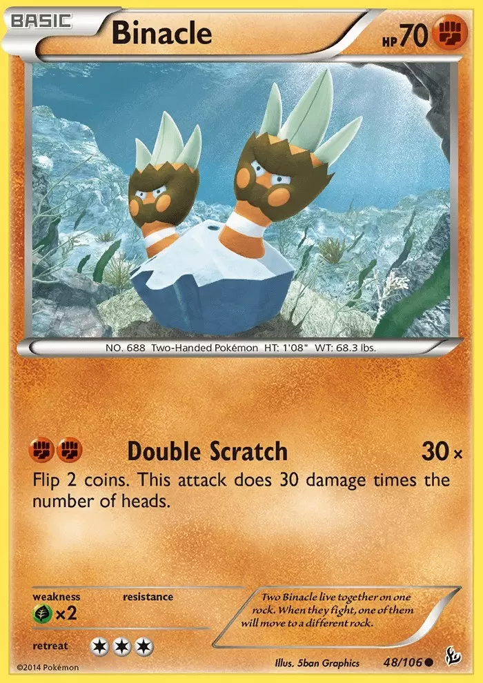 XY Flashfire - Binacle