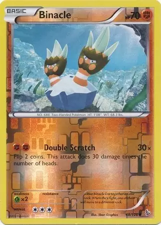 XY Flashfire - Binacle Reverse