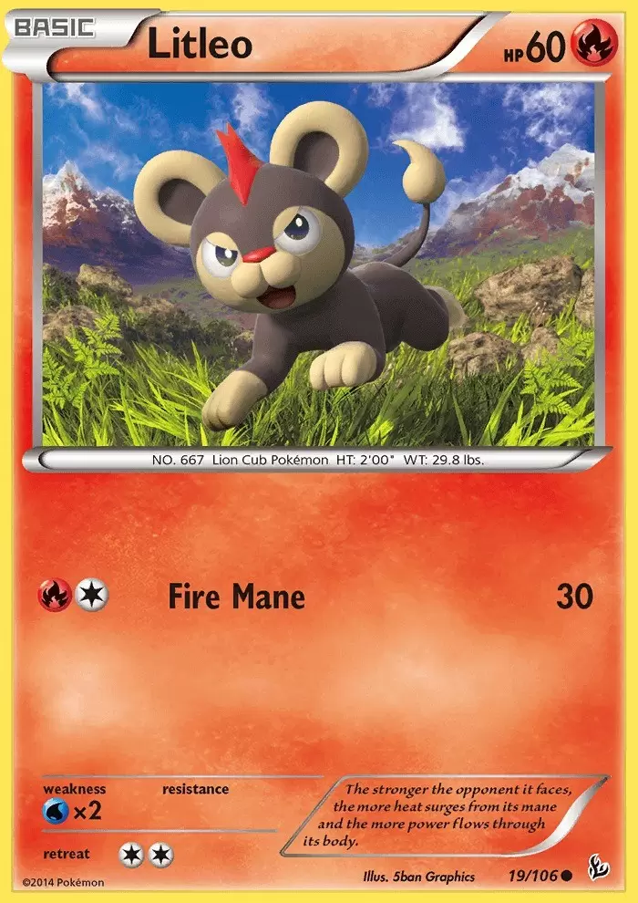 XY Flashfire - Litleo