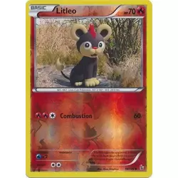 Litleo Reverse