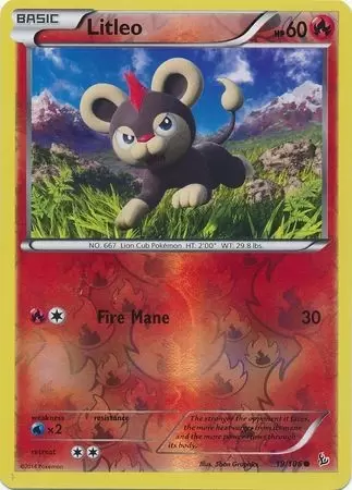 XY Flashfire - Litleo Reverse