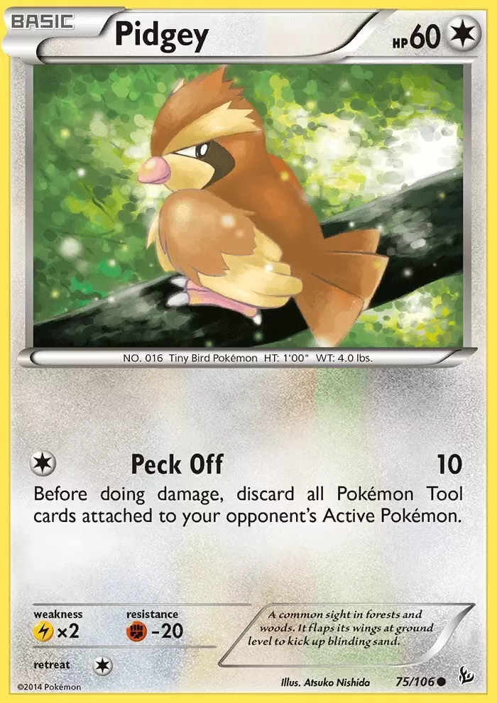 XY Flashfire - Pidgey