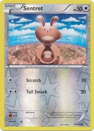 XY Flashfire - Sentret Reverse