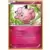 Clefairy