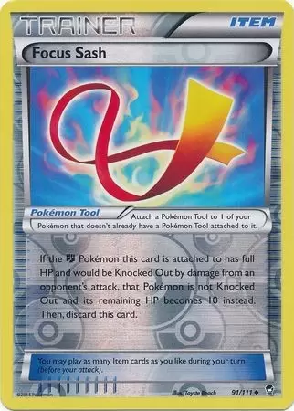 XY Furious Fists - Focus Sash Reverse