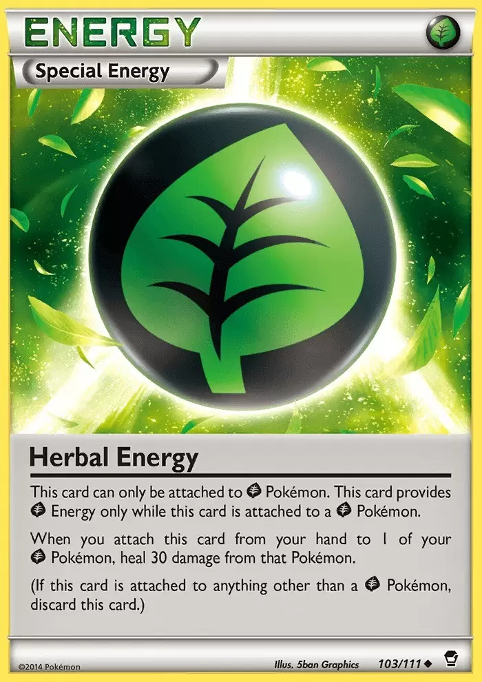 XY Furious Fists - Herbal Energy