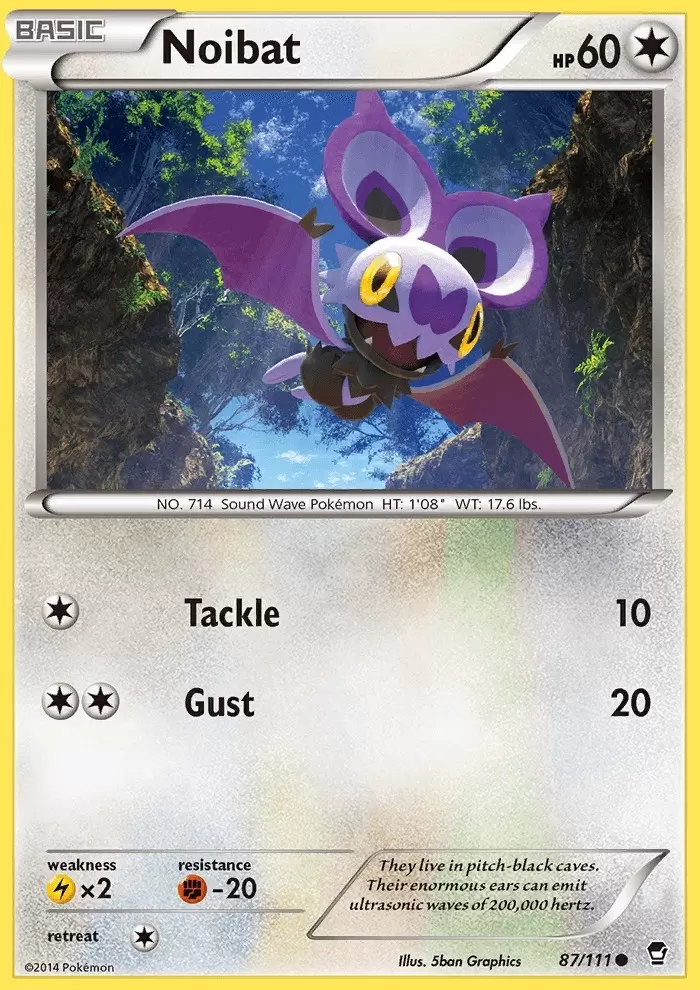 XY Furious Fists - Noibat