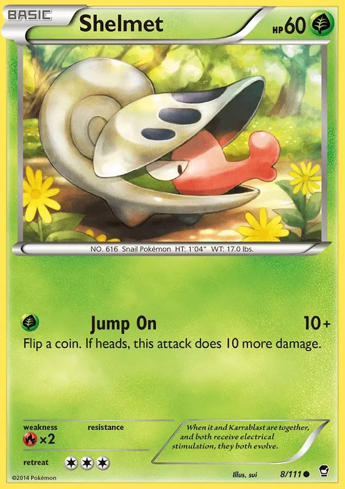 XY Furious Fists - Shelmet