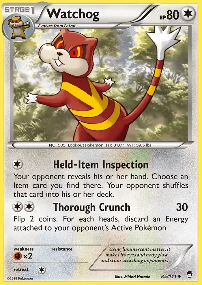 XY Furious Fists - Watchog
