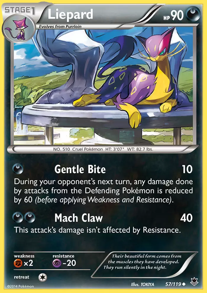 XY Phantom Forces - Liepard