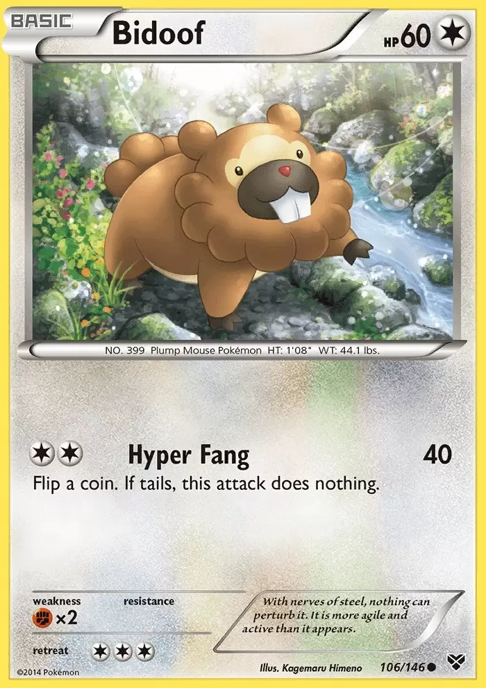 XY Series - Bidoof