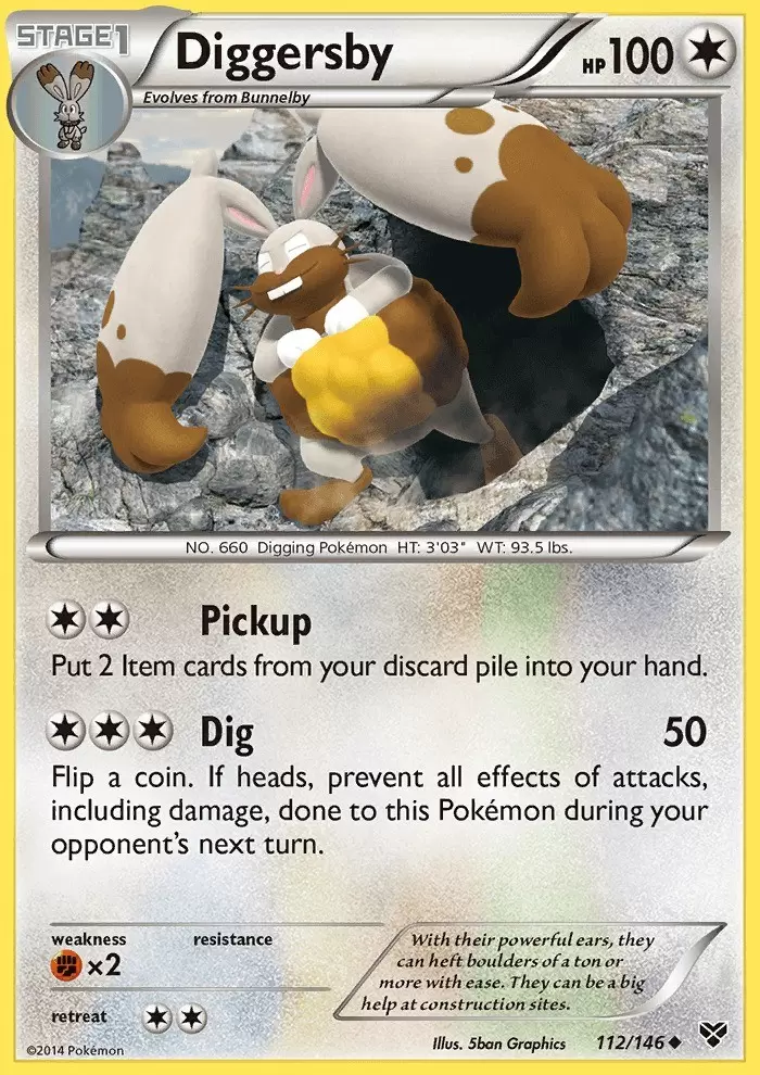 XY Series - Diggersby