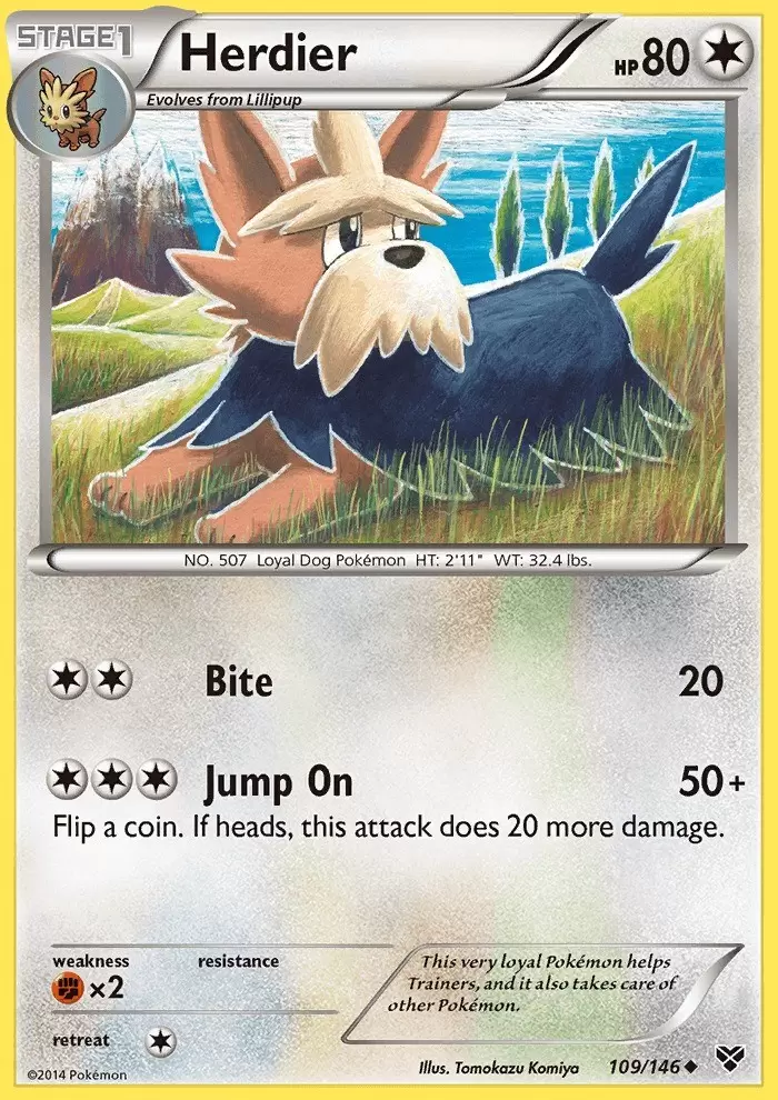 XY Series - Herdier