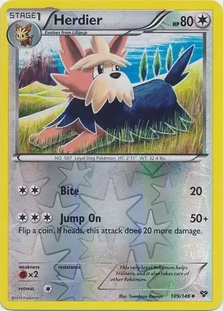 XY Series - Herdier Reverse