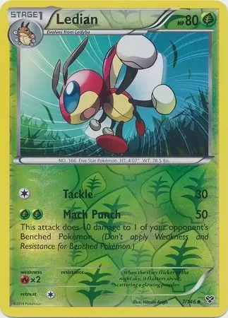 XY Series - Ledian Reverse