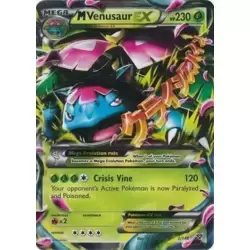 M-Venusaur-EX