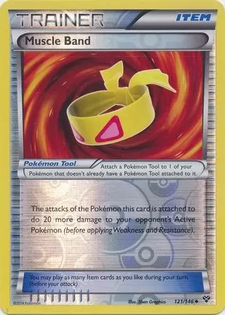 XY Series - Muscle Band Reverse