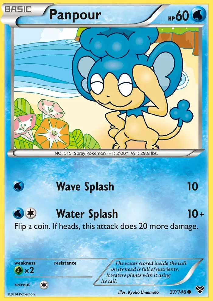 XY Series - Panpour