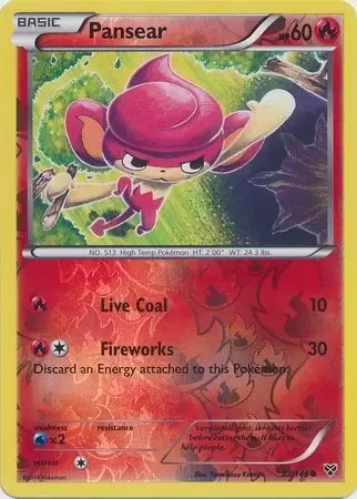 XY Series - Pansear Reverse