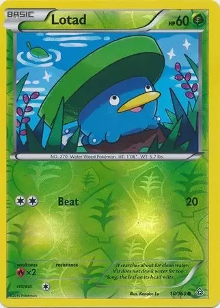 XY Primal Clash - Lotad Reverse