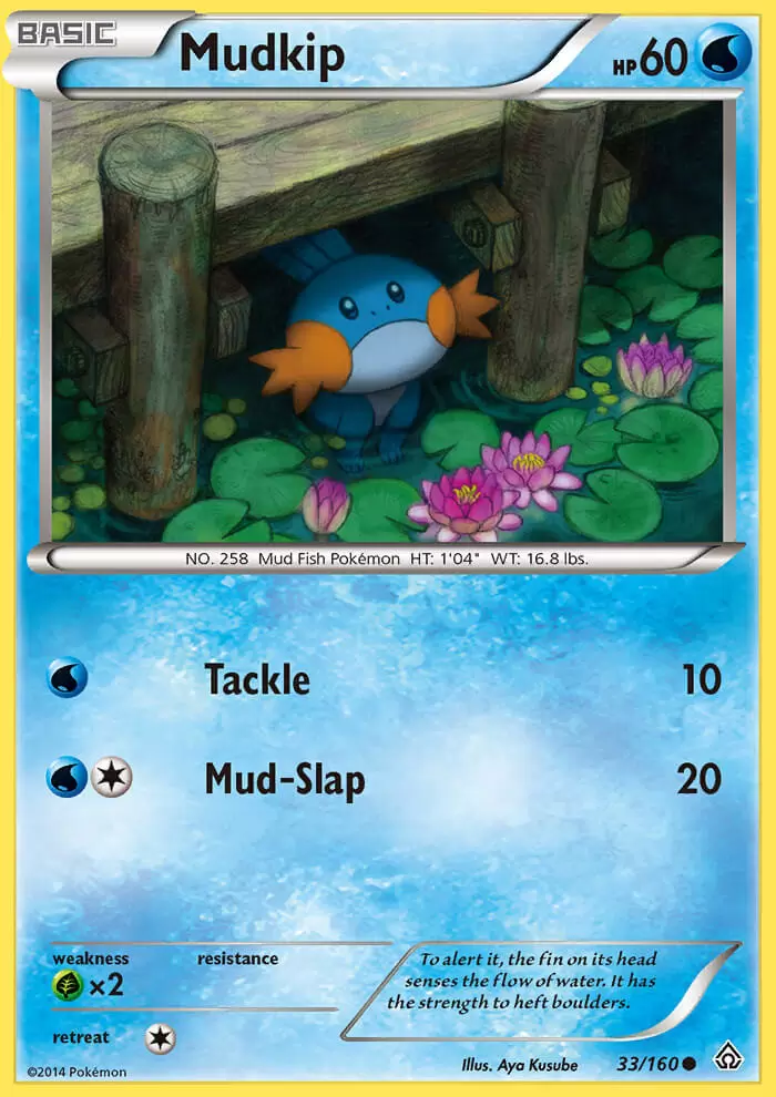 XY Primal Clash - Mudkip