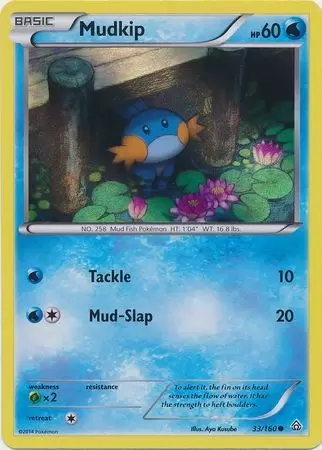 XY Primal Clash - Mudkip Holo