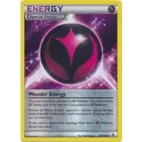 Wonder Energy Reverse