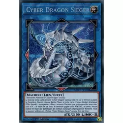 Cyber Dragon Sieger