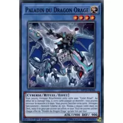 Paladin du Dragon Orage
